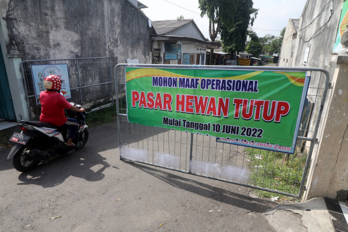 Pasar Hewan Beringkit Badung Akan Dibuka Kembali Pada 8 Oktober