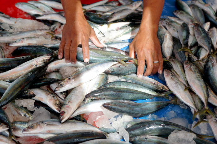 KKP Berupaya Stabilkan Harga Ikan Saat Peak Season