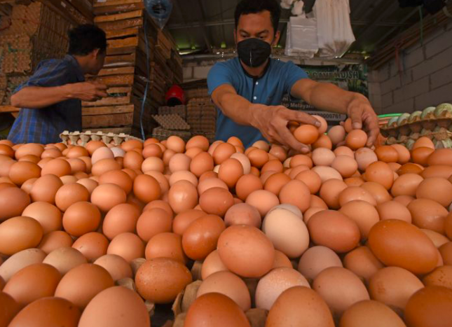Harga Telur di Kota Bekasi Turun Jadi Rp28 Ribu per Kg