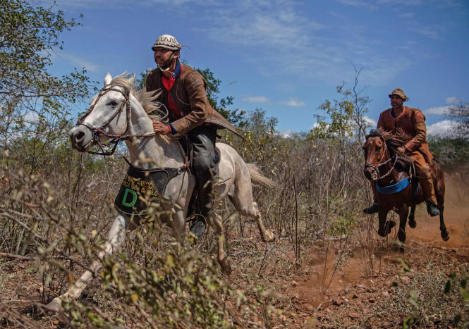Lula dan Simpati para Penunggang Kuda