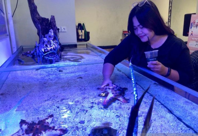 KKP Kembangkan Pusat Pendidikan Akuarium Laut di Pangandaran