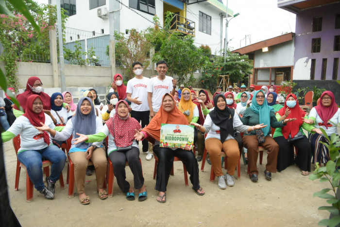 Ketahanan Pangan, OMG Berikan 1.200 Lubang Tanam Sayur Hidroponik di Cilincing Jakut