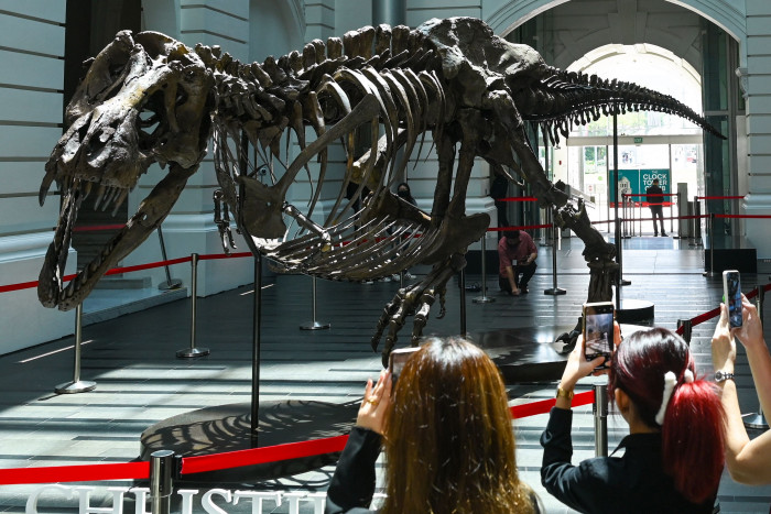 Ilmuwan Ungkap Berat T-Rex Terbesar Mencapai 15 Ton 