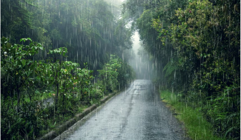 Mengenal Hujan Asam, Penyebab dan Dampaknya