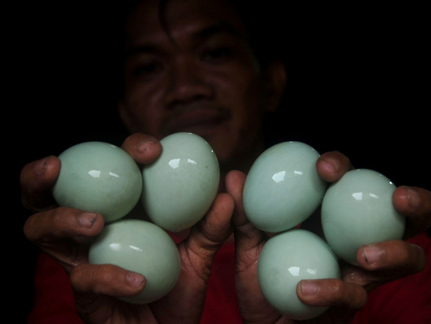 Mitos usai Operasi Jangan Makan Ikan, Telur, Ayam 