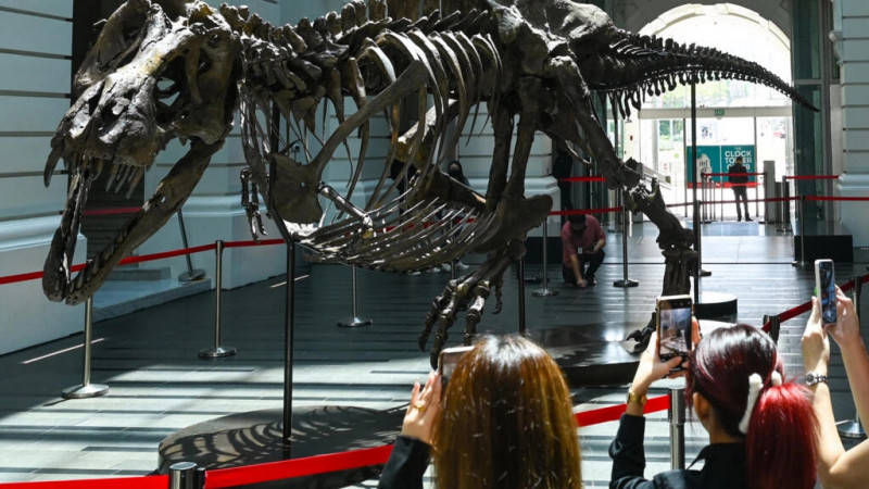 Acara Lelang Kerangka Dinosaurus di Balai Lelang Christie di Hong Kong Dibatalkan