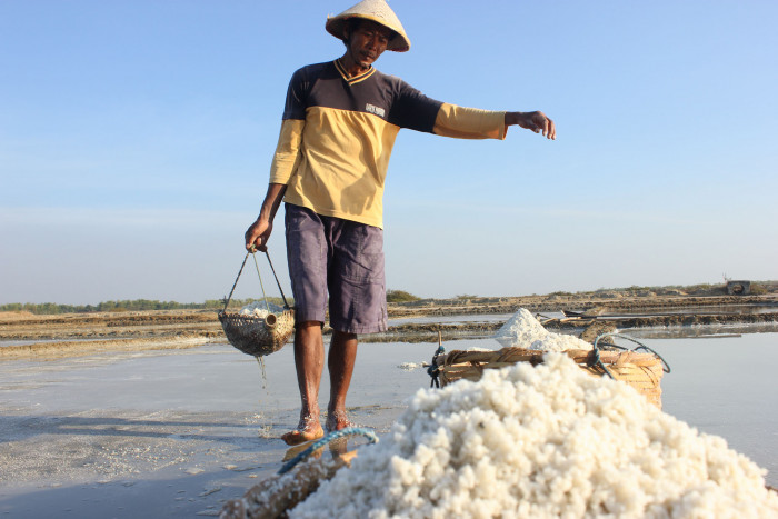 Stok Habis, Petani Garam Tidak Bisa Nikmati Kenaikan Harga Garam Krosok