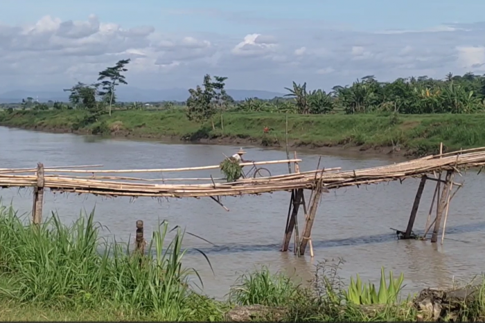Warga Kebumen Terpaksa Lewati Jembatan Kayu Bambu yang Rusak
