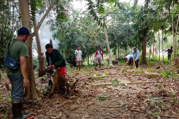 GMC Gotong Royong Lestarikan Kawasan Ekowisata Bamboe Wanadesa Balikpapan