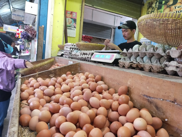 Harga Telur di Aceh Melambung Bikin Mumet Pelaku Usaha