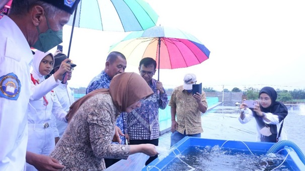 Tambak Udang SMK PK Puger Jember Jadi Salah Satu Contoh Sukses Implementasi TeFa 