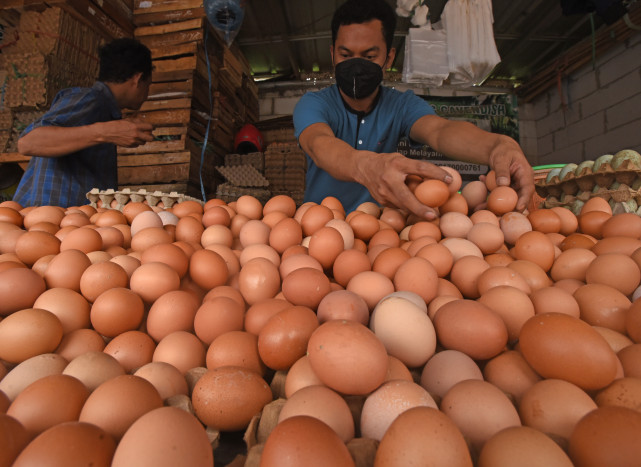 Harga Telur Ayam Di Sidoarjo Meroket 