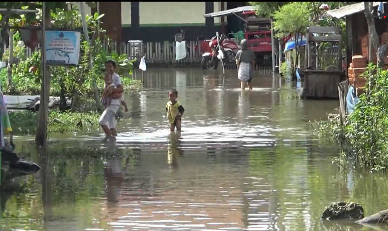 Hampir Dua Pekan Karangrejo Demak Kebanjiran, Warga belum Dapat Bantuan 