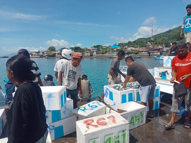 Pascagelombang Tinggi, Nelayan di Kota Larantuka Kembali Melaut