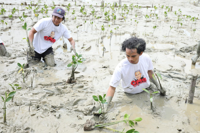 Jaga Ekosistem Pantai, OMG Kalbar Tanam 500 Bibit Mangrove di Mempawah