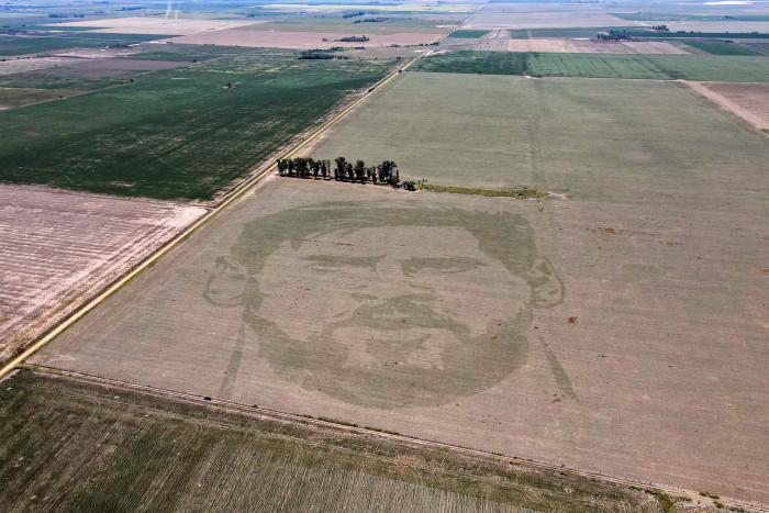 Petani Jagung Argentina Lukis Wajah Messi di Ladang 