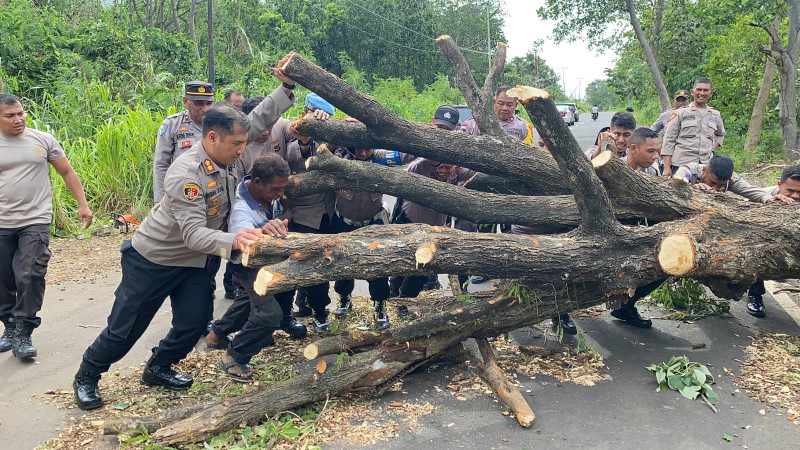 Kapolres Flotim Gelar Aksi Cepat Tanggap Bersihkan Pohon Tumbang