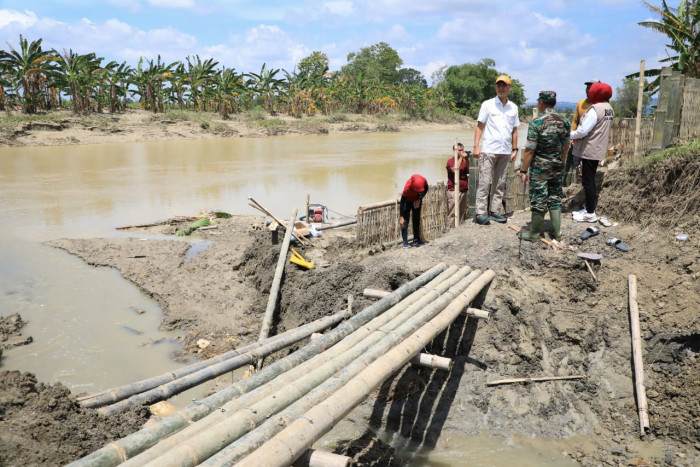 Atasi Banjir-Longsor di Grobogan, Ganjar Pulihkan Lahan Kritis dengan Penanaman Pohon