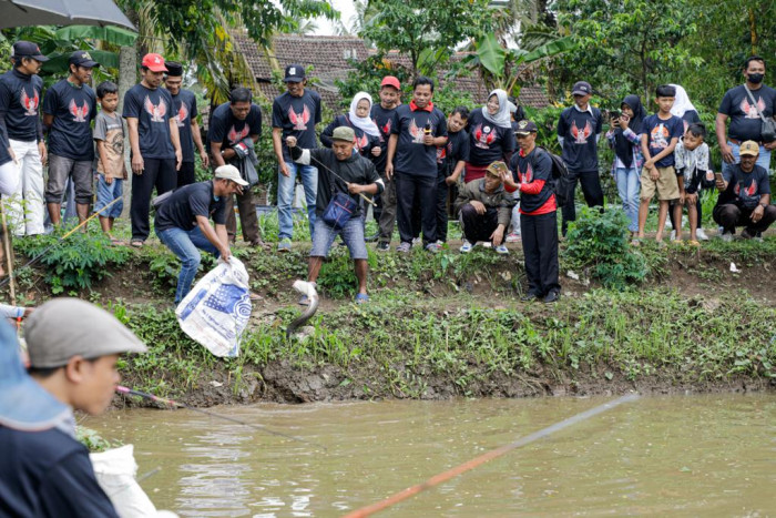 Festival Mancing Asik Untuk Persatukan Warga di Kabupaten Semarang