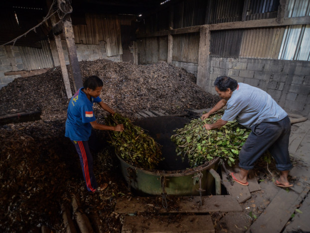 Ini Manfaat, Kandungan Gizi, dan Cara Membuat Minyak Cengkih