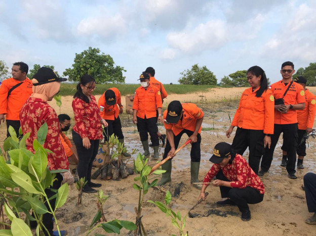 Basarnas Bali Tanam 500 Mangrove Di Tanjung Benoa