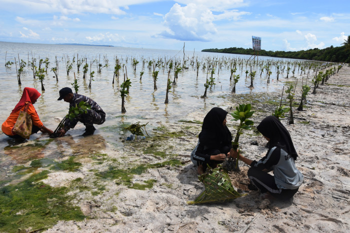 Peringati Hari Lahan Basah Sedunia, KLHK Tanam 30 Ribu Mangrove