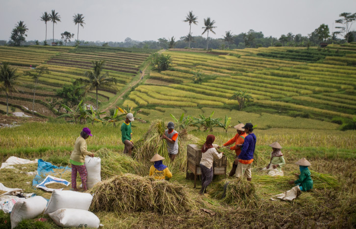 Nilai Tukar Petani Catatkan Kenaikan Jadi 109,84 di Januari 2023