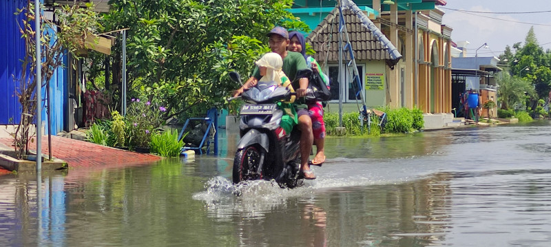 Banjir Rob Kembali Landa Pesisir Kota Tanjungpinang