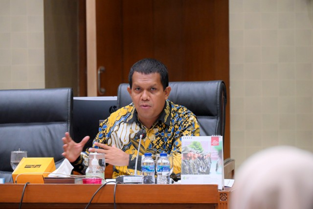 Komisi IX DPR Dorong Peningkatan Pelayanan Kesehatan di Papua Selatan