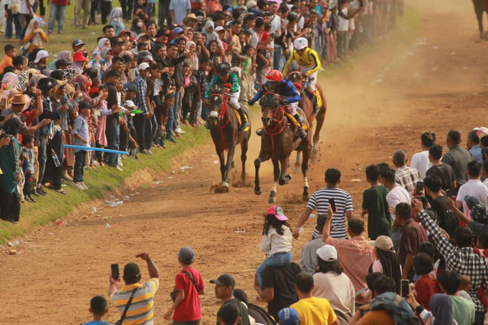 Pacuan Kuda Jadi Daya Tarik Wisata di Agam dan Bukittinggi