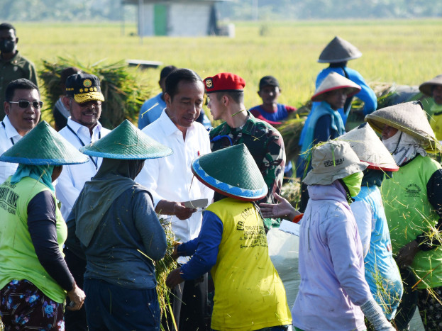 Dukungan untuk Panen Raya Nusantara Satu Juta Hektare 