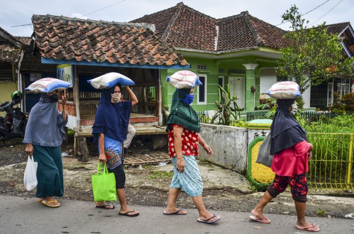 Kemensos Percayakan Kasus Korupsi Bansos Beras PKH pada KPK