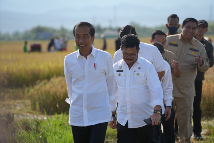 Sulsel Surplus Beras, Jokowi Minta Disalurkan ke Wilayah Lain