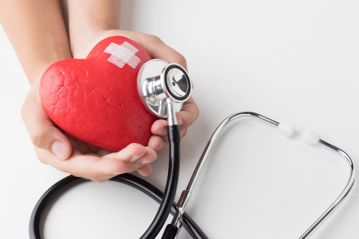 Fungsi Jantung pada Tubuh Manusia dan Cara Kerjanya