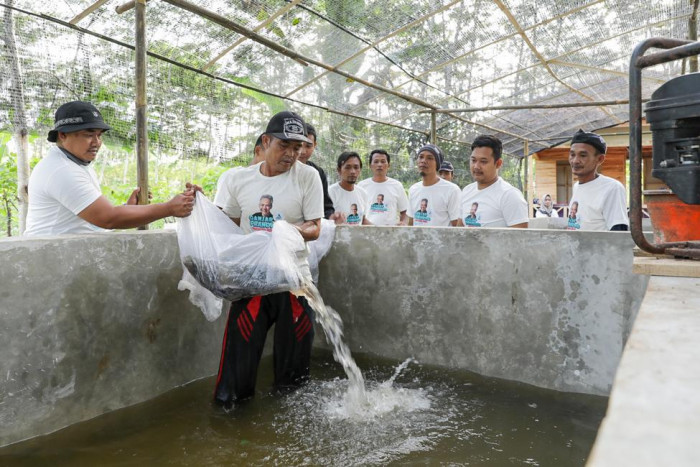 Komunitas Nelayan Pesisir Berikan Bantuan Lele ke Pembudi Daya Ikan Darat di Cianjur