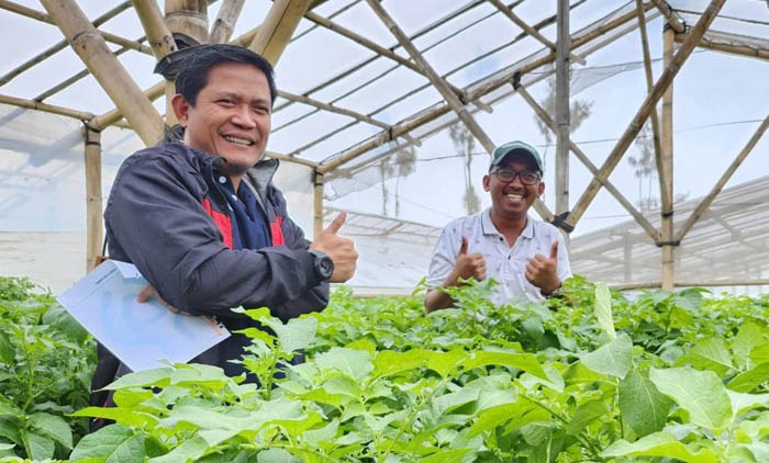 Wardana Farm, Kisah Sukses Petani Milenial Penangkar Kentang di Pasuruan