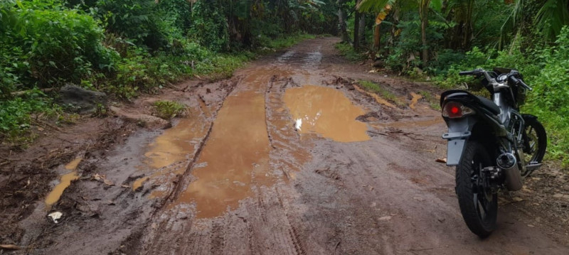 PMKRI Bicara soal Rekonstruksi Peningkatan Kapasitas Struktur Jalan Mulobahang - Walang