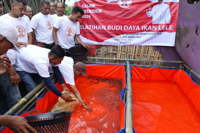 PMN Gelar Pelatihan Budi Daya Ikan Lele di Kabupaten Bandung