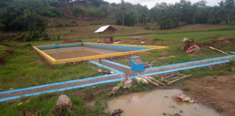 Hadapi El Nino, Mentan SYL Minta Jajaranya Dampingi Para Petani di Lapangan
