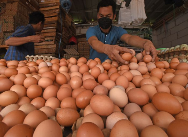 Kemendag Sebut Kenaikan Harga Telur Ayam Disebabkan Harga Pakan yang Cukup Tinggi
