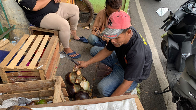 Lontar, Si Buah Langka Tiba-tiba Viral di Media Sosial