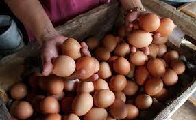 Bapanas Gulirkan Program untuk Stabilkan Harga Telur Ayam di Pasaran