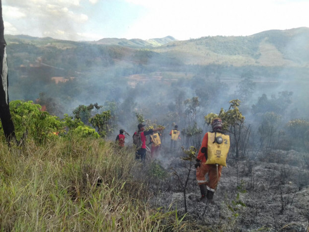 Ratusan Titik Api Muncul di Kawasan Hutan Kalimantan Selatan