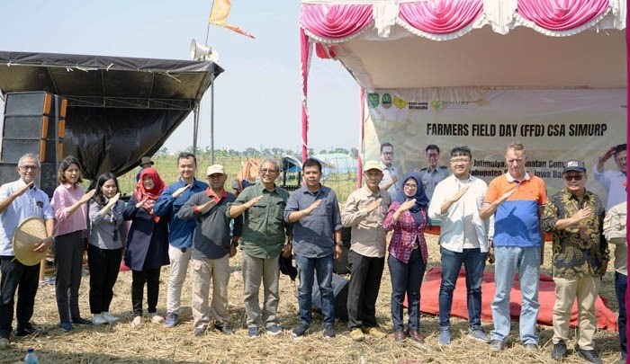 Produktivitas Demplot Padi di Lokasi CSA Jabar, Naik 0,56 Ton Per Hektare 