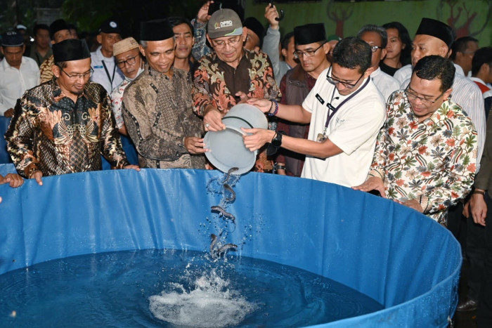 Sandiaga Beri Bantuan Program Juragan Lele di Bojonggede, Disambut Antusias Warga