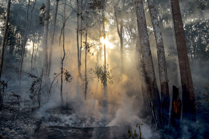 BPBD Petakan 7 Titik Rawan Kebakaran Hutan di Jatim