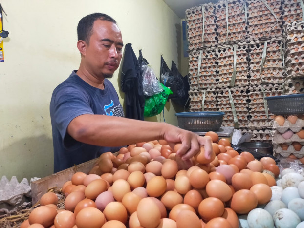 Ikatan Pedagang Pasar Desak Pemerintah Segera Stabilkan Harga Telur Ayam