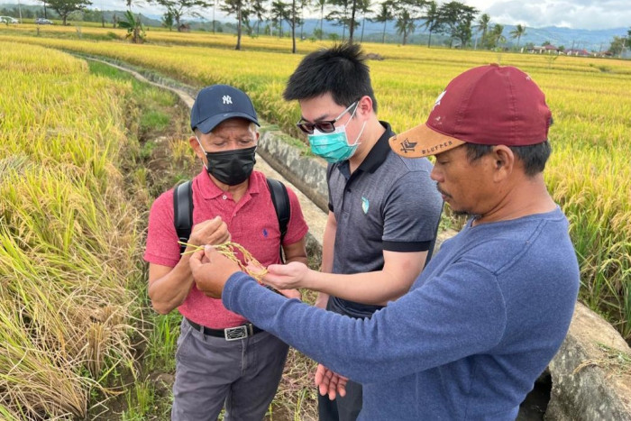 Proyek Pertanian Taiwan Dukung Produksi Benih Padi Petani Sulsel