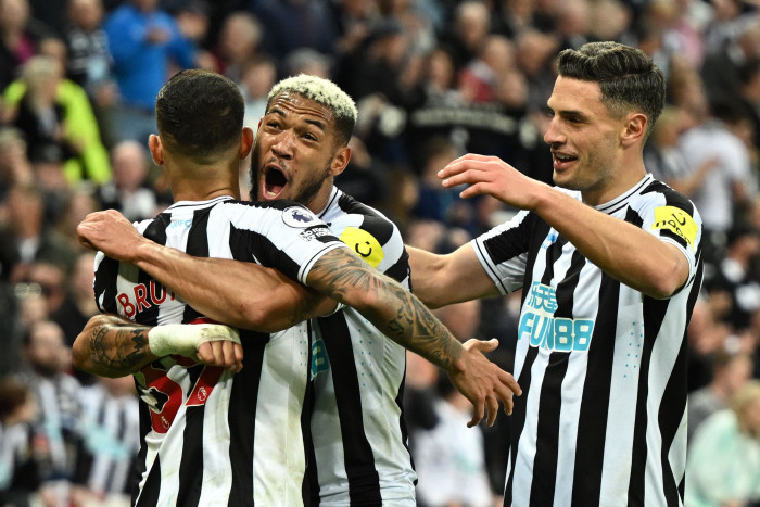 Tekuk Brighton, Newcastle Semakin Dekat dengan Tiket Liga Champions