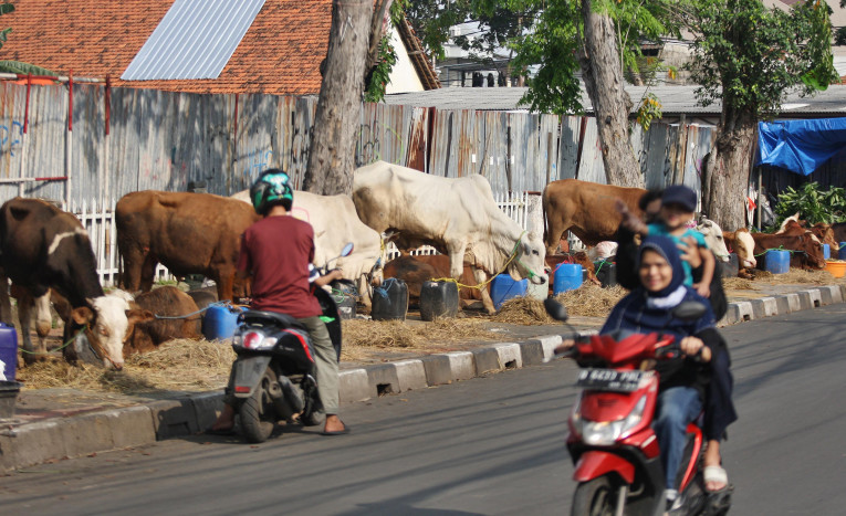 Dinas KPKP Awasi Pelaksanaan Jual Beli Hewan Kurban di Jakarta